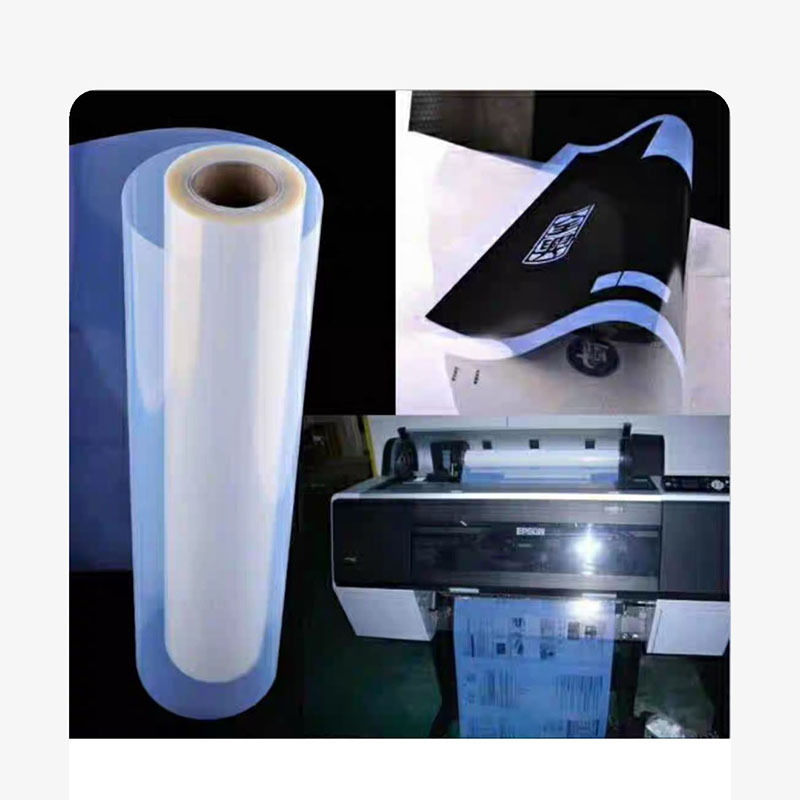 Photo Printer - Stampante fotografica per esterni con pellicola